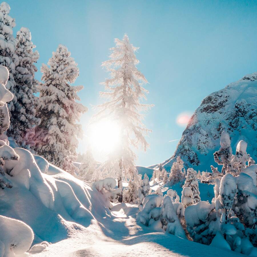 Winterzauber © Zillertal Tourismus