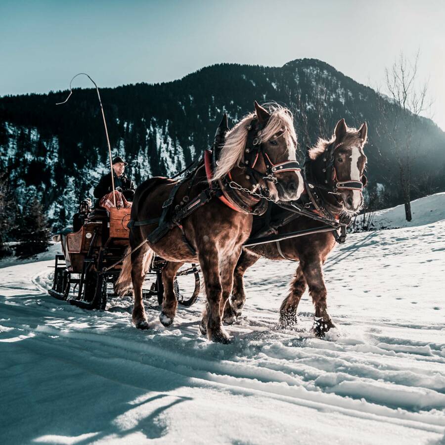 Pferdekutsche © Zillertal Tourismus
